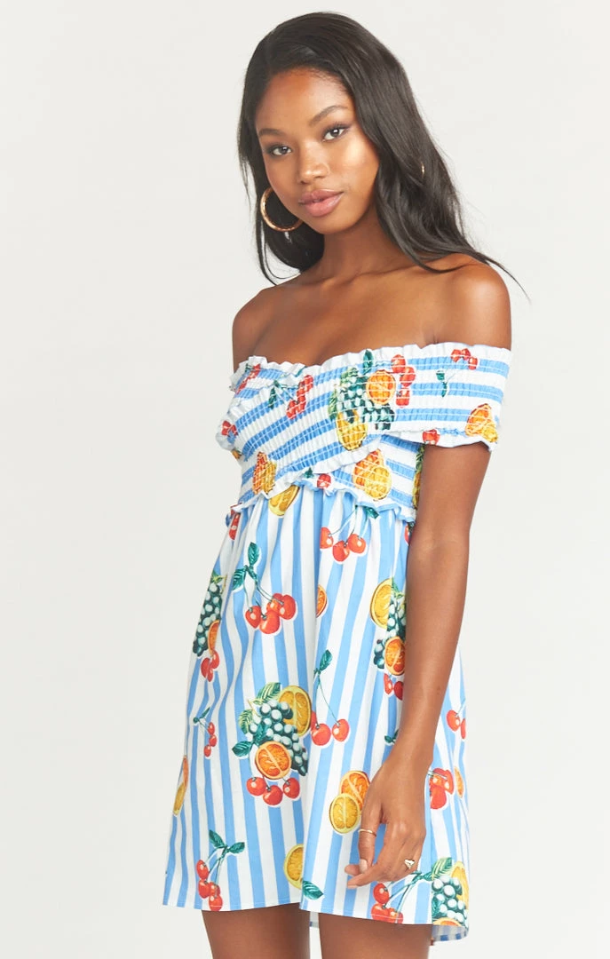 Show Me Your Mumu Maternity Mandy Smocked Dress ~ Fruit Basket Stripe Poplin 4 Show Me Your Mumu Maternity Mandy Smocked Dress ~ Fruit Basket Stripe Poplin