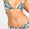 Show Me Your Mumu Hangten Hipster Bikini Bottom ~ Peruvian Palm 2 Show Me Your Mumu Hangten Hipster Bikini Bottom ~ Peruvian Palm