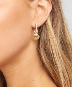 Show Me Your Mumu Tulla Shell Mini Hoop Earrings ~ Gold/Pearl