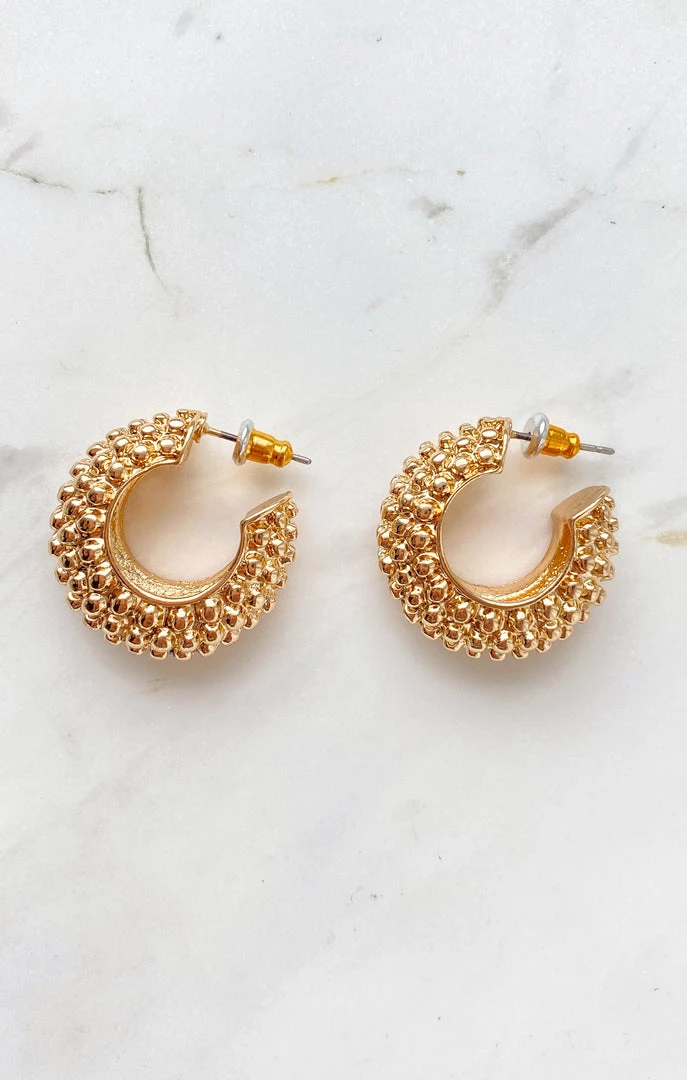 Show Me Your Mumu Charlee Hoop Set ~ Gold New Mu 6 Show Me Your Mumu Charlee Hoop Set ~ Gold New Mu