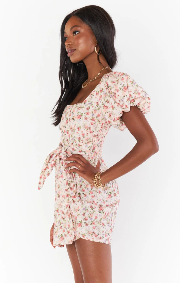 Show Me Your Mumu Danielle Mini Dress ~ Pink Rose New Mu 5 Show Me Your Mumu Danielle Mini Dress ~ Pink Rose New Mu