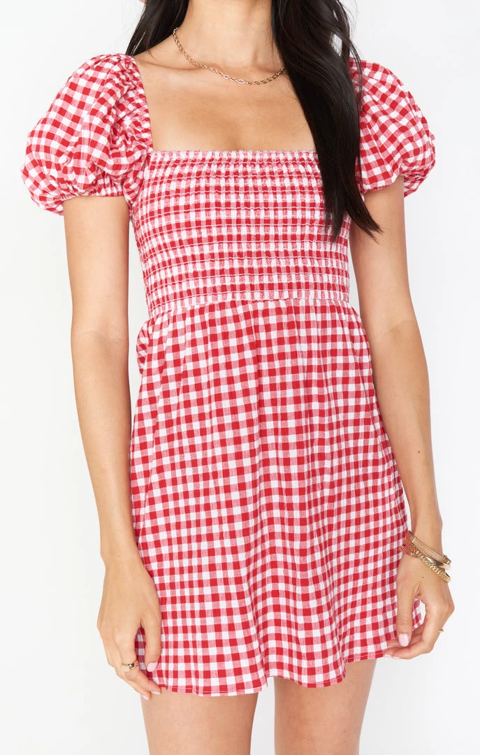 Show Me Your Mumu Bixby Mini Dress ~ Strawberry Gingham 4 Show Me Your Mumu Bixby Mini Dress ~ Strawberry Gingham