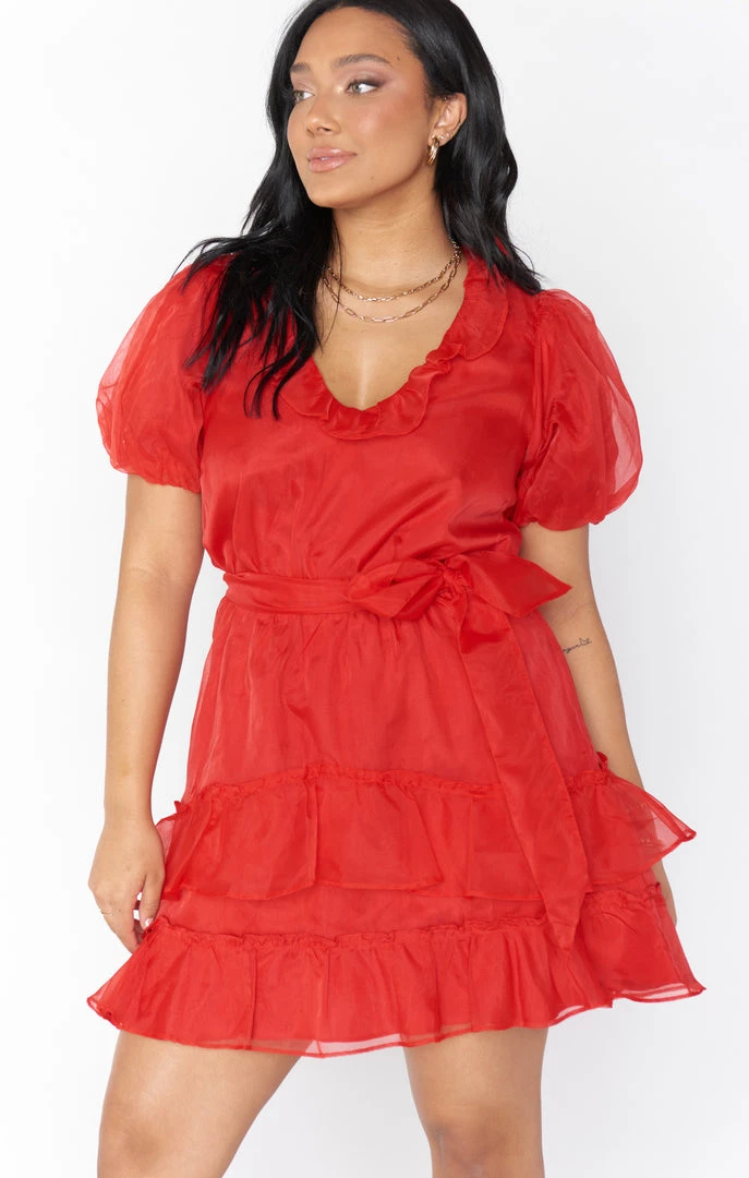 Show Me Your Mumu New Mu Jennie Ann Dress ~ Red Organza 4 Show Me Your Mumu New Mu Jennie Ann Dress ~ Red Organza