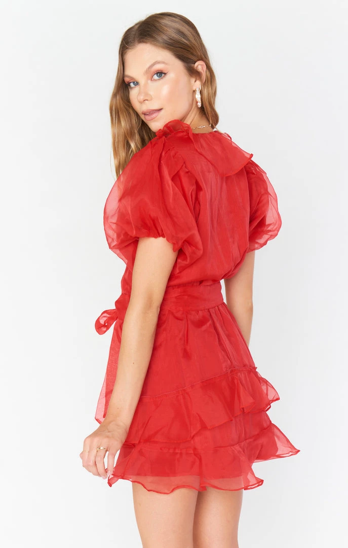 Show Me Your Mumu New Mu Jennie Ann Dress ~ Red Organza 8 Show Me Your Mumu New Mu Jennie Ann Dress ~ Red Organza