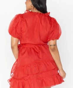 Show Me Your Mumu New Mu Jennie Ann Dress ~ Red Organza 18 Show Me Your Mumu New Mu Jennie Ann Dress ~ Red Organza