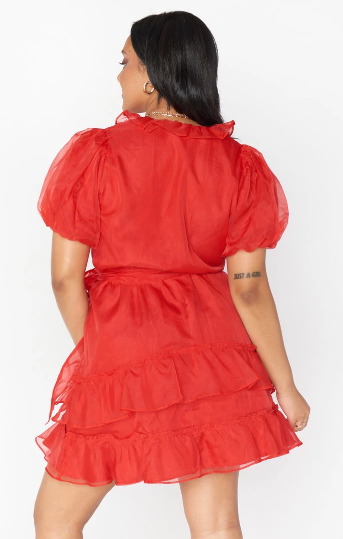 Show Me Your Mumu New Mu Jennie Ann Dress ~ Red Organza 9 Show Me Your Mumu New Mu Jennie Ann Dress ~ Red Organza