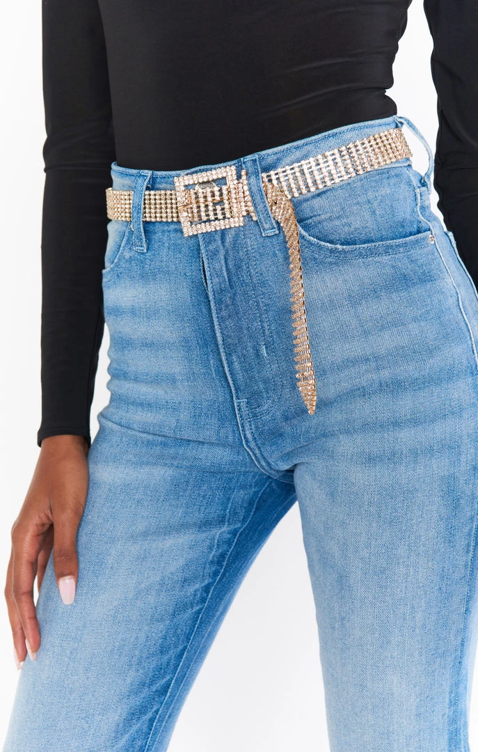 Show Me Your Mumu Galia Rhinestone Belt ~ Gold & Silver 3 Show Me Your Mumu Galia Rhinestone Belt ~ Gold & Silver