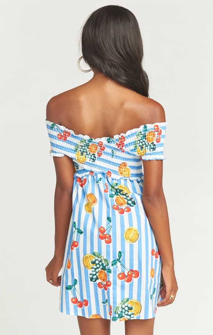 Show Me Your Mumu Maternity Mandy Smocked Dress ~ Fruit Basket Stripe Poplin 6 Show Me Your Mumu Maternity Mandy Smocked Dress ~ Fruit Basket Stripe Poplin